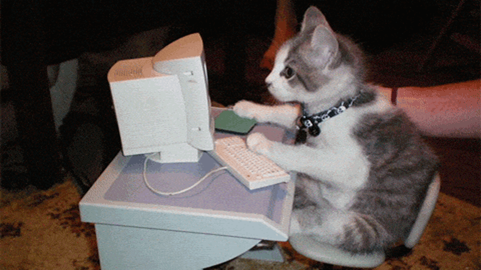 My Honest Take on AI Coding Tools After Months of Heavy Use